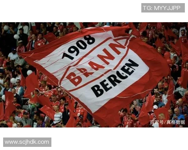 布兰与维京激战结果揭晓赛季走势分析与未来展望