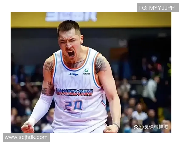 陶汉林：从篮球新星到国家队主力的成长之路与奋斗历程