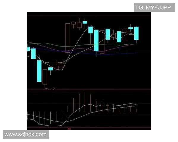 上海篮球队防守策略分析与比赛表现的得失评估