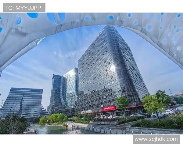 杭州排球队运营革新探索:提升竞技水平与商业价值的双重路径MBA